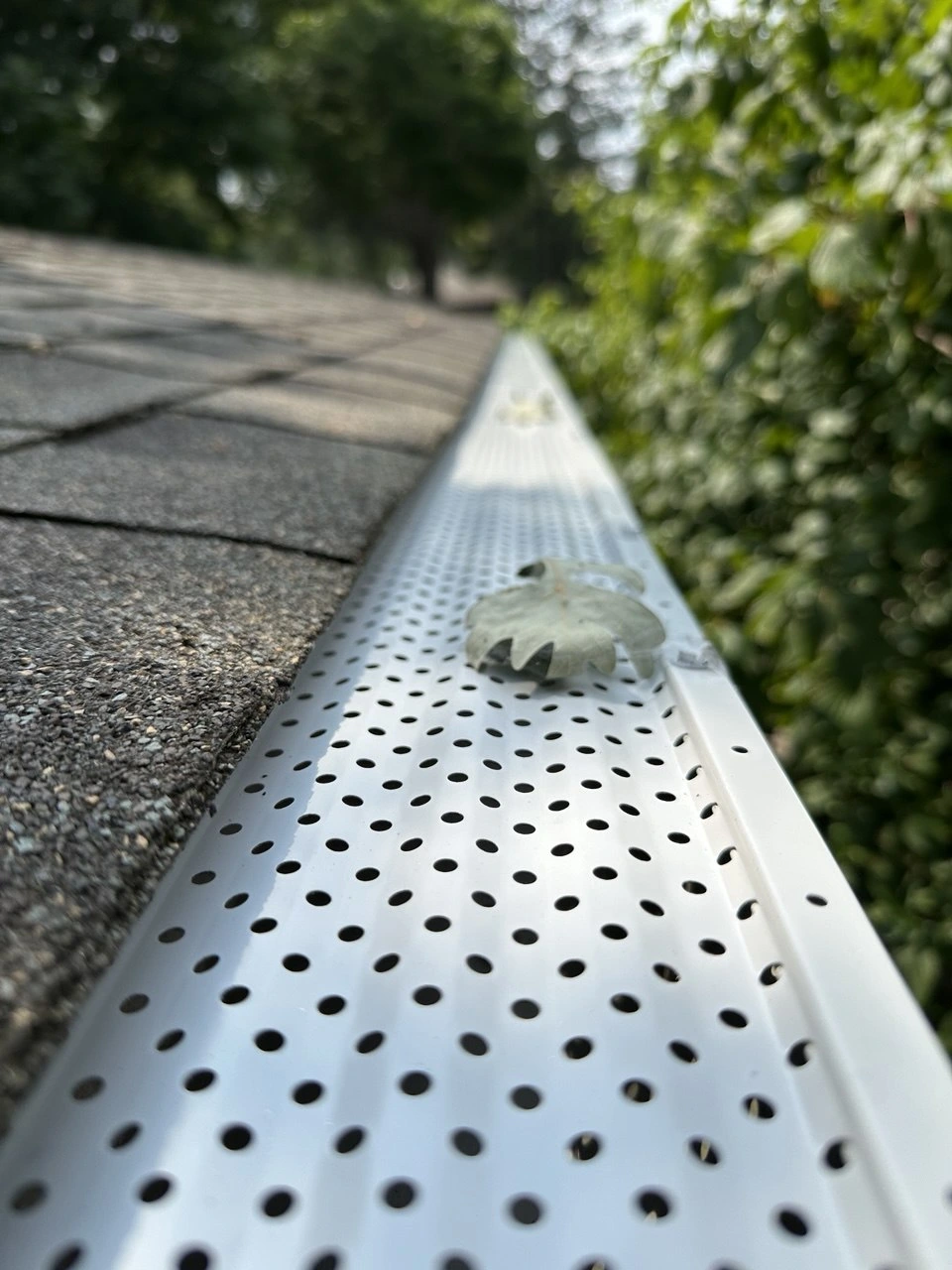 Perforated gutter guard blocking leaves in Shakopee, MN